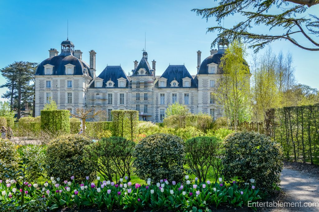 Rows of pastel tulips backed by perfectly trimmed topiary hedging.