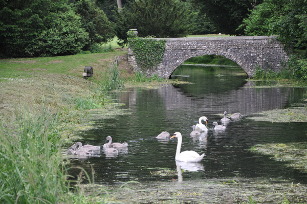 WestWycombe130619-14
