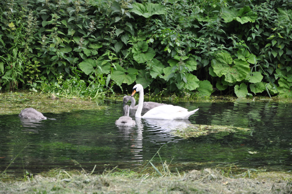 WestWycombe130619-15